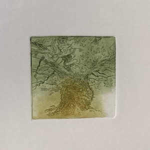 Oak No 1