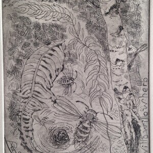 Wasp and willowherb (proof)