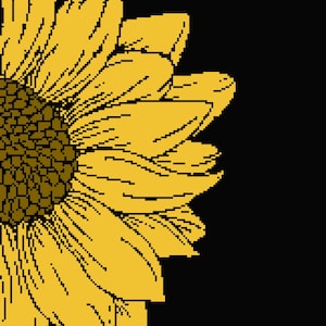 Op de afbeelding: Een close-up van een gele zonnebloem met een bruin hart. De zonnebloem is naar de rechterkant van de afbeelding gericht en is gedeeltelijk zichtbaar.