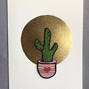 Sol de cactus