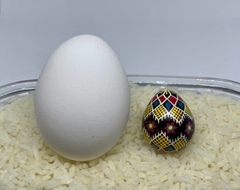 Starburst real quail egg Ukrainian decorated pysanky white yellow red blue purple folk art decoration. Tiny eggshell decorative gift item