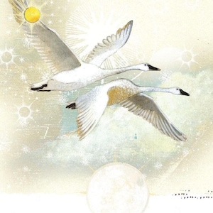 Sacredbee Karte 341 Alle Segen