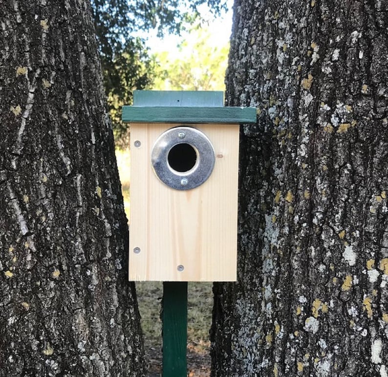 1 1/8 inch Predator Guard Birdhouse Hole Protector Etsy