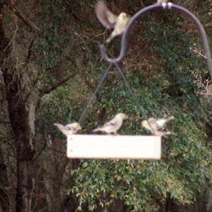 Bird Feeder Hanging Tray Feeder Seed Feeder image 2