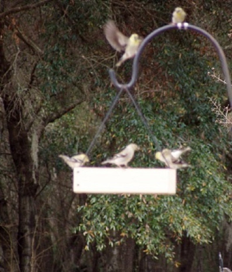 Bird Feeder Hanging Tray Feeder Seed Feeder image 2