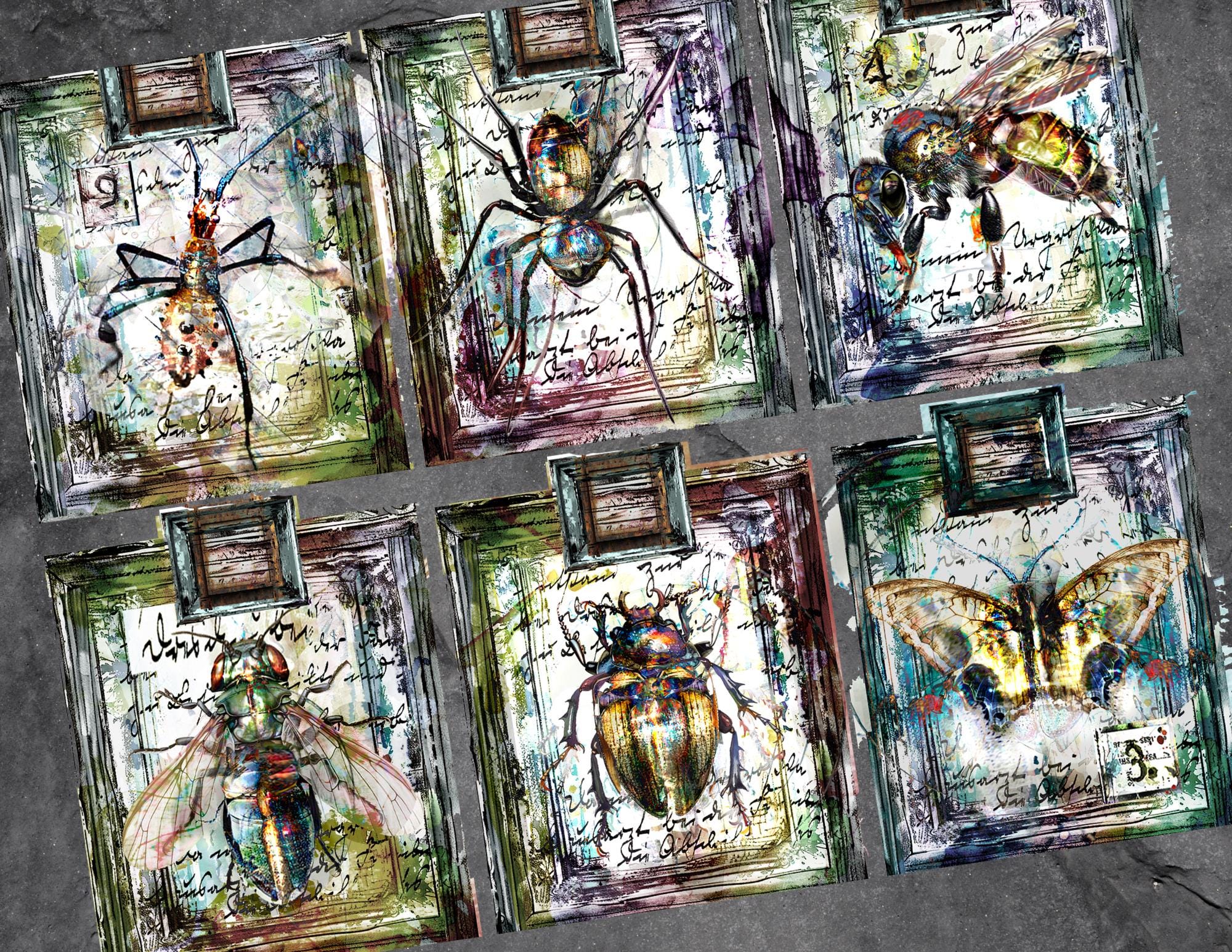 Insect Slide Collection 6 Magical Bug Slides | Insects | Junk Journal Ephemera | Commercial Use ...