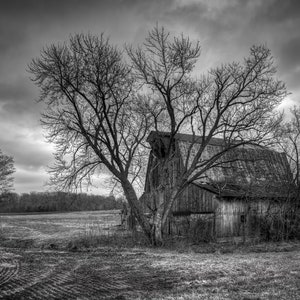 Old Barn Canvas Art, Barn Wall Art, Abandoned Art, Canvas Barn Print, Barns, Rustic Barn - Black & White, Metal Print