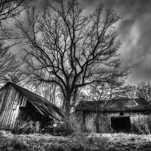 Old Abandoned Barns Print Fine Art Photography Black & White Wall Art, Rustic, Abandoned image 1