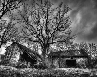 Old Abandoned Barns Print - Fine Art Photography - Black & White - Wall Art, Rustic, Abandoned