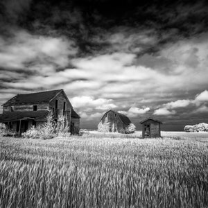 Abandoned Illinois Homestead Metal Print - Black & White Wall Art, Wall Art, Barns, Farmhouse, Gallery Wrap