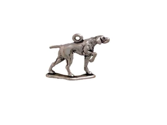 Silver pointer dog 2025