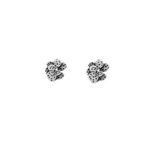 Cactus earrings pandora deals