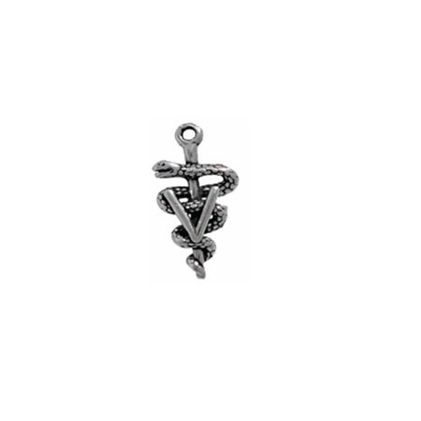 Veterinary Charm Sterling Silver, Veterinary Symbol Charm, Veterinary Jewelry