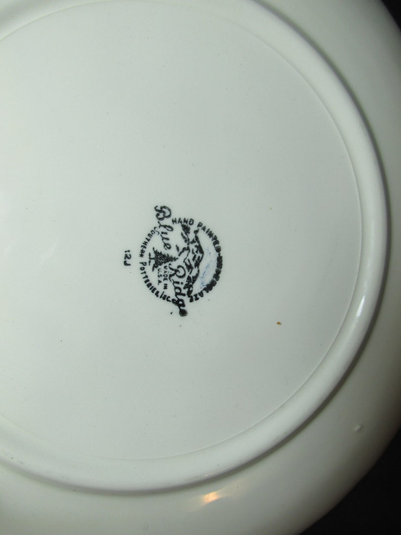 Blue Ridge Norma 9 luncheon plates /& 11.5 platter Southern Potteries Inc.
