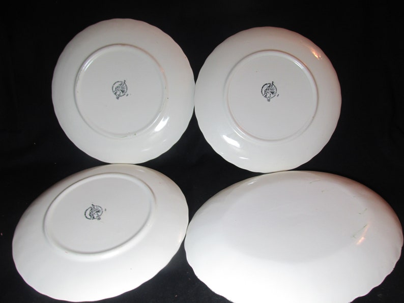Blue Ridge Norma 9 luncheon plates /& 11.5 platter Southern Potteries Inc.