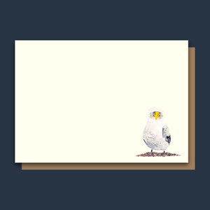 5er Pack illustrierte Briefkarten - A6 Größe - Albatross - Korrespondenzkarten
