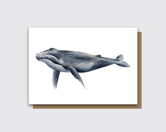 Greetings Card - Humpback Whale - Blank inside