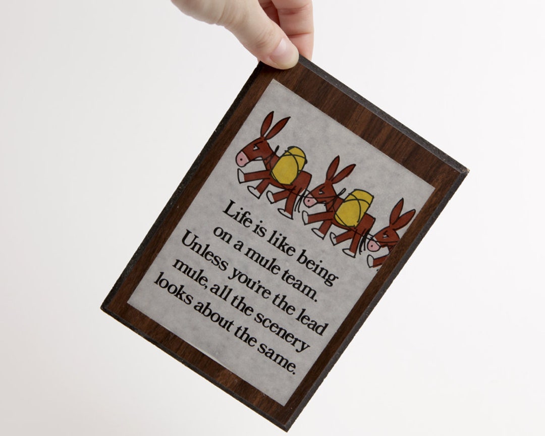 Vintage Collectors Sign - Etsy