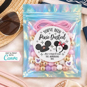May include: An iridescent plastic pouch filled with pink, white, and gold beads and a pink elastic cord. A circular label on the front reads: You've Been Pixie Dusted, Have a magical cruise, THE ANDERSONS, 8765, with mouse ear icons.