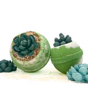 Succulent Bath Bomb, Handmade Spa Bath Bombs, Relaxing Luxury Bath Bombs, Gifts for Her, Self Care Gift, Plant Lover Gift, Skin Loving