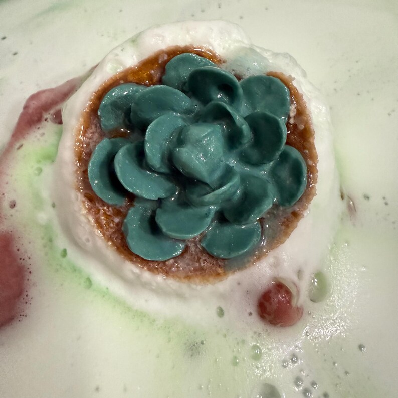 Bomba de baño con suculentas, bombas de baño de spa hechas a mano, bombas de baño relajantes de lujo, regalos para ella, regalo de autocuidado, regalo para amantes de las plantas, cuidado de la piel imagen 4