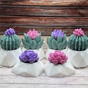 Handmade Succulent Soaps | Succulent Lover Gifts, Plant Soap, Gifts for Her, Succulents, Bridal Shower Favors, Gifts for Mom, Rusted Acre