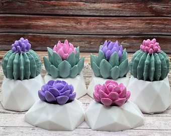 Handmade Succulent Soaps | Succulent Lover Gifts, Plant Soap, Gifts for Her, Succulents, Bridal Shower Favors, Gifts for Mom, Rusted Acre