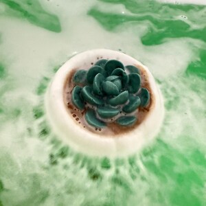 Bomba de baño con suculentas, bombas de baño de spa hechas a mano, bombas de baño relajantes de lujo, regalos para ella, regalo de autocuidado, regalo para amantes de las plantas, cuidado de la piel imagen 6