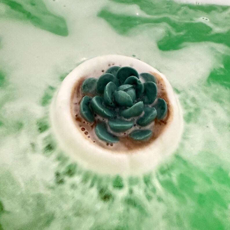 Bomba de baño con suculentas, bombas de baño de spa hechas a mano, bombas de baño relajantes de lujo, regalos para ella, regalo de autocuidado, regalo para amantes de las plantas, cuidado de la piel imagen 6