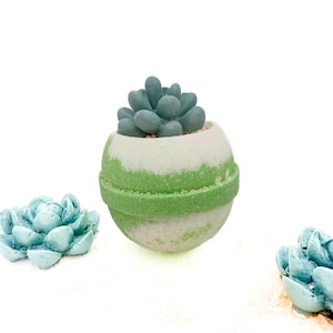 Bomba de baño con suculentas, bombas de baño de spa hechas a mano, bombas de baño relajantes de lujo, regalos para ella, regalo de autocuidado, regalo para amantes de las plantas, cuidado de la piel imagen 3