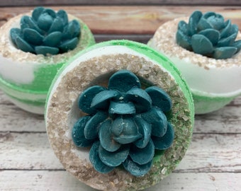 Succulent Bath Bombs | Fizzy Bath Bombs | Plant Bath Bomb | Gifts for Her | Vegan Bath Bomb | Large Bath Bombs  | Bridal Shower favors |