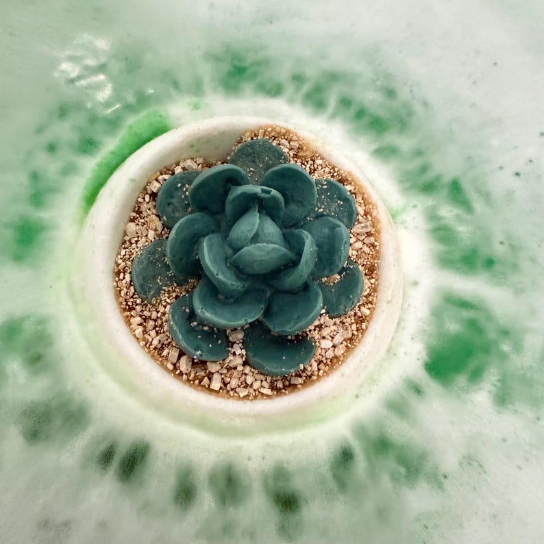 Puede incluir: Una planta suculenta verde en una maceta blanca con un material marr&oacute;n similar a la arena alrededor de la base. La maceta est&aacute; rodeada de espuma de ba&ntilde;o verde y blanca.