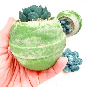 Bomba de baño con suculentas, bombas de baño de spa hechas a mano, bombas de baño relajantes de lujo, regalos para ella, regalo de autocuidado, regalo para amantes de las plantas, cuidado de la piel imagen 7