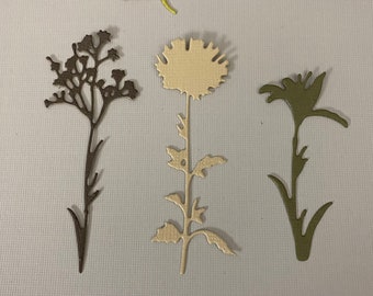 NEW Wildflowers 2 - set of 4