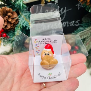 May include: A small, clear plastic box containing a white card with a red and white Christmas lights design and the text "A little Christmas potato just for you!" The box contains a small, brown, clay potato wearing a red Santa hat. The card also says "Happy Christmas!"