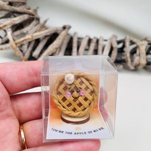 May include: A small pie-shaped ornament with a smiling face, lattice crust, and cream topping, displayed in a clear box. The base reads "You're the apple of my pie."
