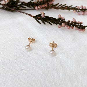 May include: A pair of gold stud earrings with small white pearl accents.