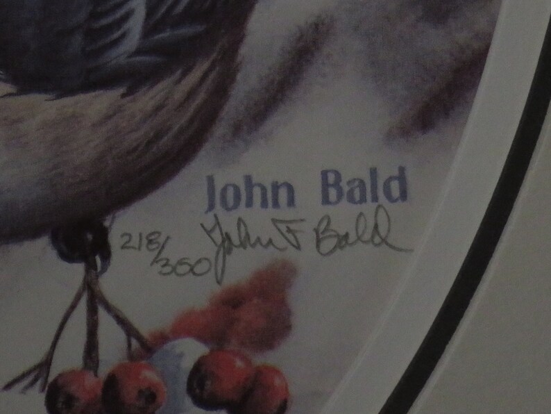 John Bald Wildlife Artist Triple Matted Signed and Numbered 11x15 Print