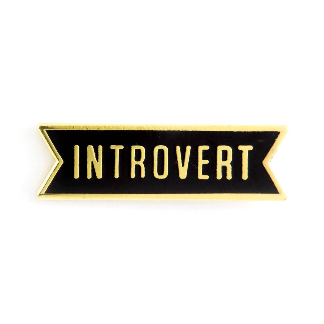 Introvert Enamel Pin - Etsy
