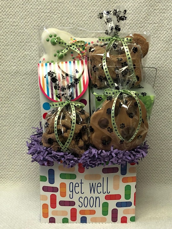 dog get well basket