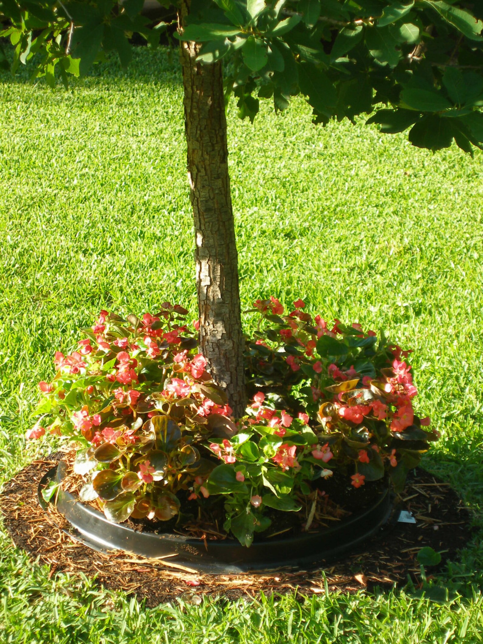 Hentai 2 Matscape 28 árbol Protector Mat anillo Weed | Etsy