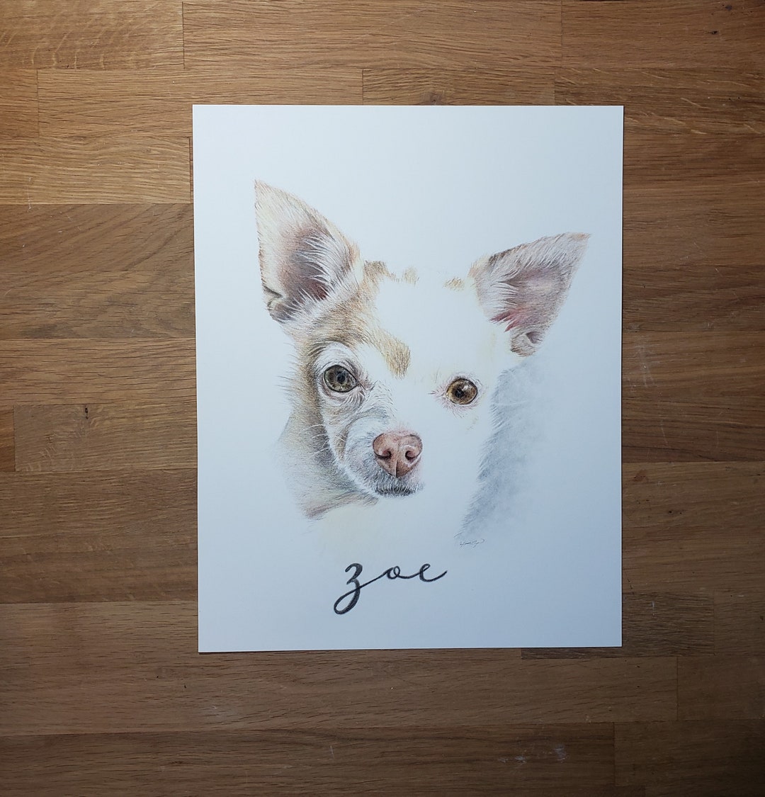 Custom Colored Pencil Pet Portrait, Hand Drawn Dog Memorial - Etsy