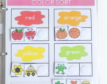 Color Sorting Busy Book: Preschool Learning Activity (Digital Download)