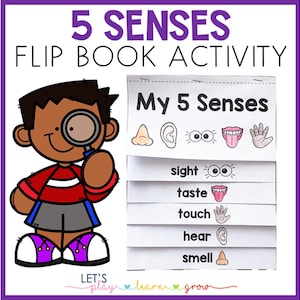 5 Senses Flip Book