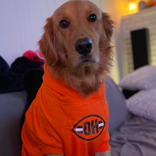 browns dog jersey