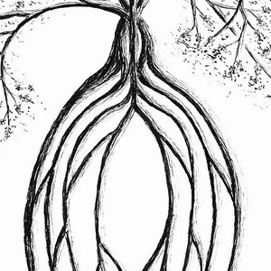 Custom Tree Illustration, hand drawn art, original drawing, pen & ink illustration, black and white wall art, nature wall decor image 5