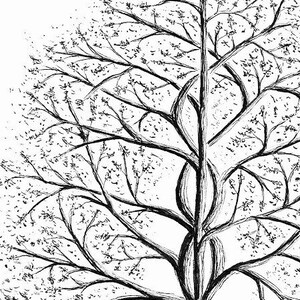 Custom Tree Illustration, hand drawn art, original drawing, pen & ink illustration, black and white wall art, nature wall decor image 2