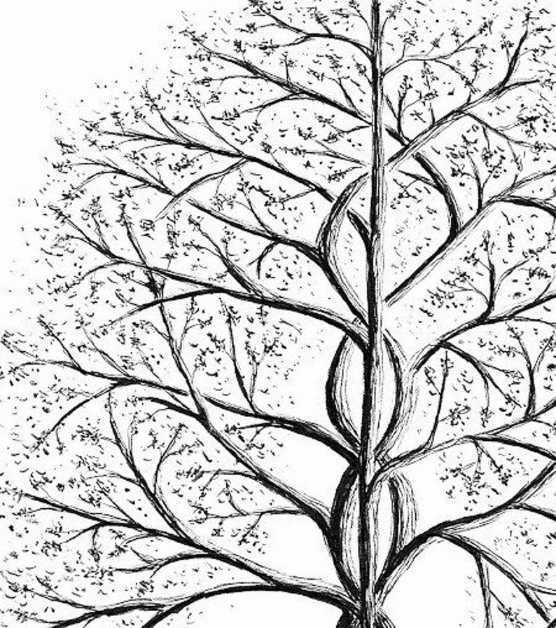 Custom Tree Illustration, hand drawn art, original drawing, pen & ink illustration, black and white wall art, nature wall decor image 2