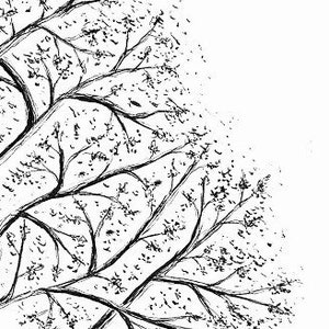 Custom Tree Illustration, hand drawn art, original drawing, pen & ink illustration, black and white wall art, nature wall decor image 3