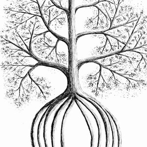 Custom Tree Illustration, hand drawn art, original drawing, custom pen & ink illustration, black and white wall art, nature wall decor